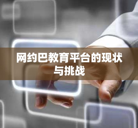 网约巴教育平台的现状与挑战