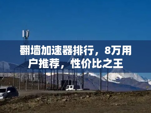 翻墙加速器排行，8万用户推荐，性价比之王