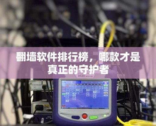 翻墙软件排行榜，哪款才是真正的守护者