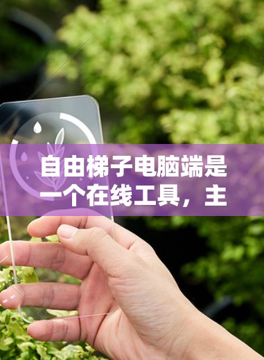 自由梯子电脑端是一个在线工具，主要应用于数据分析、游戏开发等领域。以下是使用该工具的步骤和建议