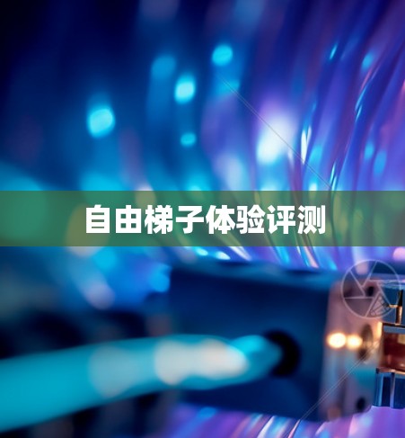 自由梯子体验评测