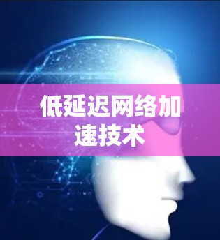 低延迟网络加速技术