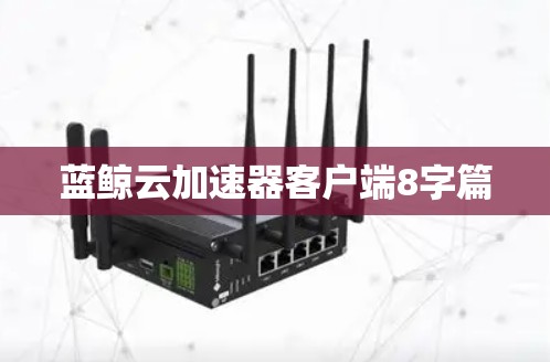 蓝鲸云加速器客户端8字篇