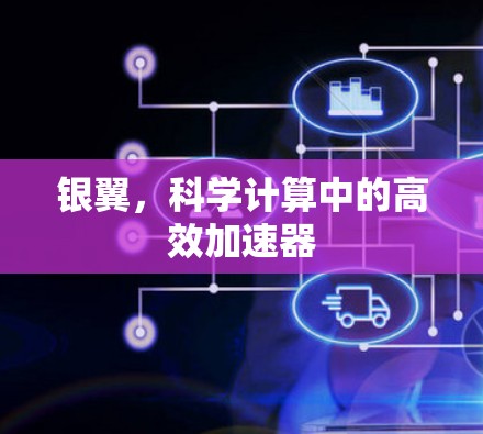 银翼，科学计算中的高效加速器