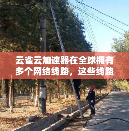 云雀云加速器在全球拥有多个网络线路，这些线路分布于不同的国家和地区，包括美国、欧洲等。以下是对云雀云加速器在全球网络线路情况的详细说明