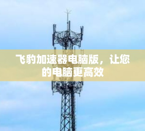 飞豹加速器电脑版，让您的电脑更高效