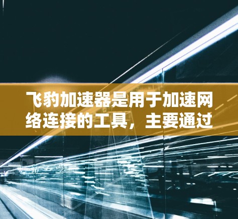 飞豹加速器是用于加速网络连接的工具，主要通过优化网络设置、服务器端性能、网页加载速度、数据传输速率、安全措施和防火墙管理等步骤来提升用户体验。以下是详细的优化步骤指南
