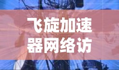 飞旋加速器网络访问保障