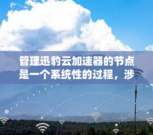 管理迅豹云加速器的节点是一个系统性的过程，涉及多个步骤，需遵循以下结构化指南